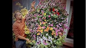 How to Make a Luxury Hanging Basket at Home - Step by Step Walkthrough