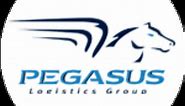 Domestic Logistics Services - Pegasus Logistics Group