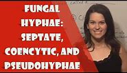 Fungal Hyphae: Septate, Coencytic, and Pseudohyphae