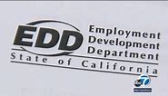 Recipients of California unemployment benefits experience issues logging in to new EDD website