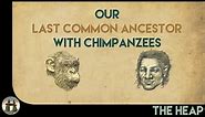 The Last Common Ancestor with Chimpanzees: Part One
