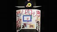 Top 8 Biology Science Fair Projects