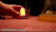 Super Simple Way to Candle Eggs Using a Mobile Phone