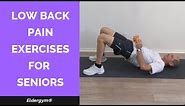 Low Back Pain Exercises For Seniors