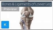 Bones and ligaments of the knee and leg (preview) - Human Anatomy | Kenhub