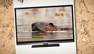 Sharp Quattron 40 Inch LCD HD TV LC40LE830U - Review ...