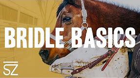 Bridle Basics: How to Place & Remove Bridles on a Horse