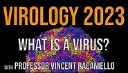 Virology Lectures 2023 #1: What is a virus?