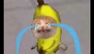 Crying Banana Cat Meme 10 Hours