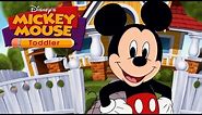 Disney's Mickey Mouse Toddler COMPLETE LEARNING SHOW With Mickey, Minnie, Goofy, Donald Duck & Pluto