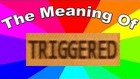 What is a triggered meme? The meaning and definition of triggered memes