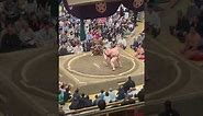 Wrestling Highlights from 2023 Grand Sumo Tournament in Tokyo Japan 🇯🇵