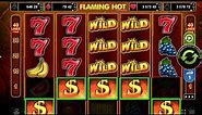 New Record Slots EGT - Flaming Hot in 70 Free Spins!