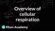 Overview of cellular respiration | Cellular respiration | Biology | Khan Academy