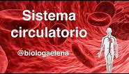 Sistema Circulatorio - Conceptos generales - Biología