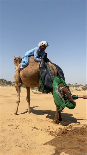 هل هو شغف خطير أم جهل؟ فعلت الفتاة شيئاً ما بمجرد أن جلست على الجمل حول فرحتها إلى حزن.