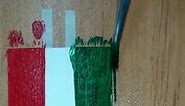 Getting to know the art of painting the Slovenian flag in 1335:the colors of culture 😃.#short