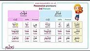 Beginners Arabic - Lesson 16 - Possessive Pronouns