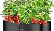 Large Tank Hydroponics Growing System 12 Pods, Herb Garden Kit Indoor with Grow Lights, Plants Germination Kit with Quiet Water Pump, Auto Timer, Height Adjustable to 20", Gardening Gifts Home Decor