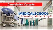Medical School - Coagulation Cascade