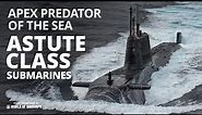 Guide to the Astute class hunter-killer submarine