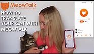 How to Translate Your Cat With MeowTalk