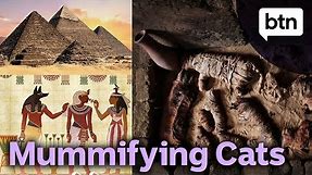 Why Did Ancient Egyptians Mummify Cats?