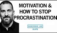 How to Stop Procrastination & Increase Motivation | Dr. Andrew Huberman