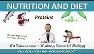 Nutrition and Diet - GCSE Biology (9-1)