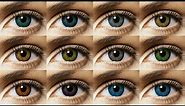Freshlook Colorblends All 12 Colors Contact Lens Review