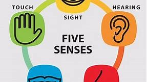 The Best Examples Of The 5 Senses In Descriptive Writing