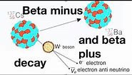 Beta minus and beta plus decay explained: from fizzics.org
