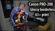 Canon Pixma PRO-200 glossy borderless A3+ (13" x 19") print