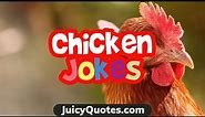 Funny Chicken Jokes and Puns - To Entertain You