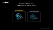 SHARP AQUOS XLED Brightness Demo Video 4K HDR