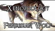 Xenozoology: Fenrisian Wolf - 40K Theories