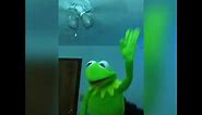 Funny Kermit the frog videos of 2020 (Part 8)