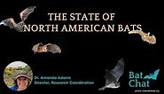 The State of North American Bats