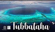 TUBBATAHA The Crown Jewel of the Philippines