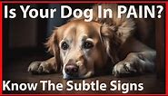 Common and Uncommon Signs of Pain in Dogs