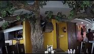 Pind Balluchi Patna the Revolving Restaurant | Biscomaun Bhawan Patna