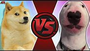 DOGE vs WALTER! (Walter vs Doge Meme Animation) | CARTOON FIGHT CLUB!