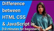Difference between HTML CSS and JavaScript Web Development Explained in [10 minutes for beginners]
