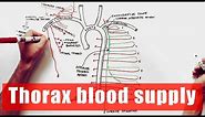 Arterial supply of the Thorax - Anatomy Tutorial