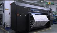 FLORA TX2000EP Digital Dye Sublimation Textile Printer 2M High speed Fabric Print Machine | Overview