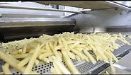 FRENCH FRIES PRODUCTION LINE