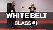 Introduction to Krav Maga - White Belt Class #1 (Stance & Palm Strike)