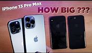 iPhone 13 Pro Max SIZE & WEIGHT Comparison