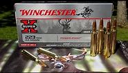 AMMO REVIEW: .223 Winchester 64 gr Power-Point