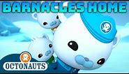 @Octonauts - 🐻‍❄️ Barnacles Goes Home 🧊 | 80 Mins+ Compilation | Underwater Sea Education